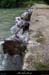 20080530_ibieptlamathe2