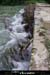 20080531ibie_067
