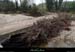 20140404_ibie_ptromain