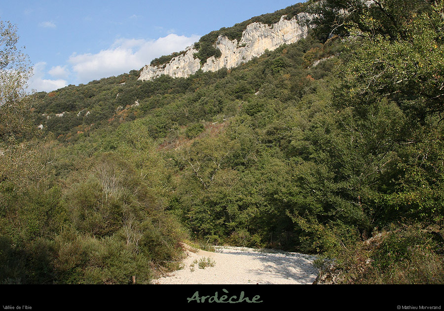 20070922_ibie1