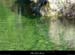 20020928_ibie_sousarduc_6
