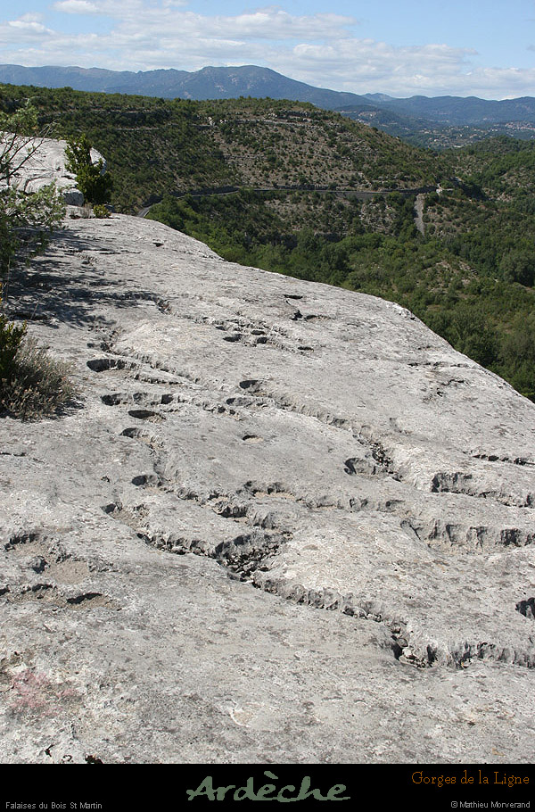 20090718_boisstmartin_bordsfalaisesligne2