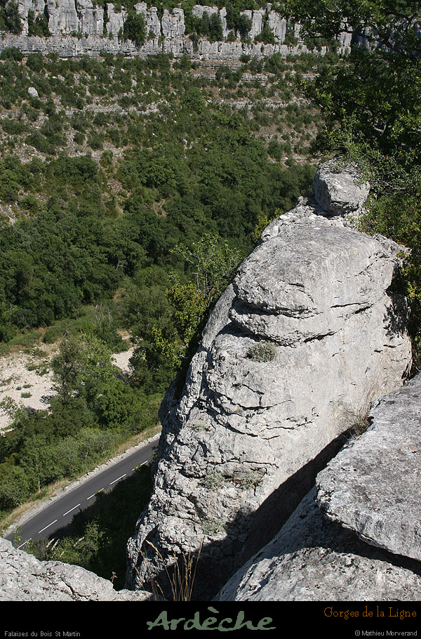20090718_boisstmartin_bordsfalaisesligne3