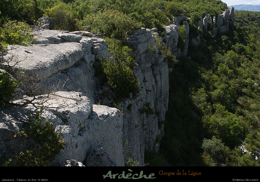 20090718_boisstmartin_falaisesligne1