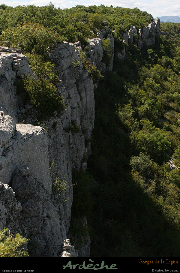 20090718_boisstmartin_falaisesligne3