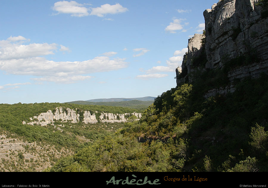 20090718_boisstmartin_falaisesligne4