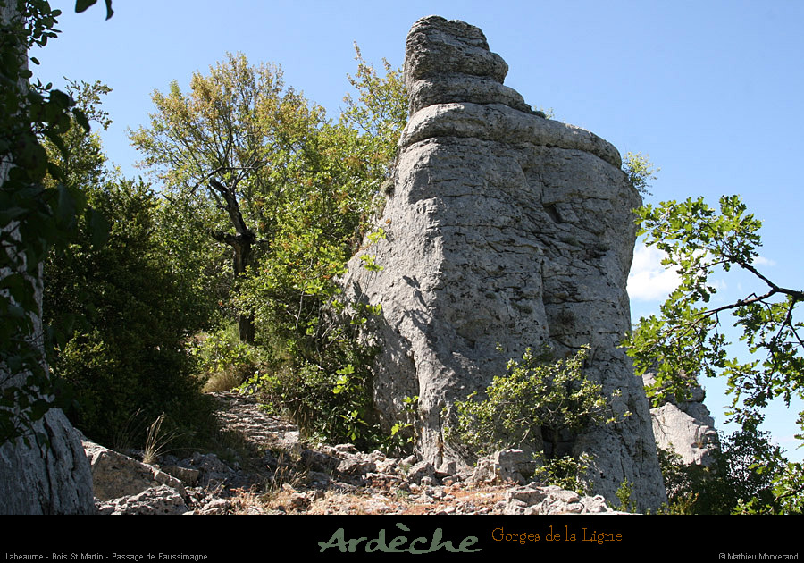 20090718_boisstmartin_passageligne3