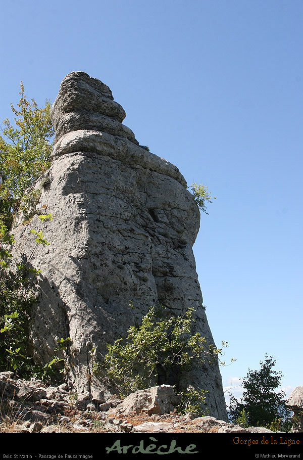 20090718_boisstmartin_passageligne4