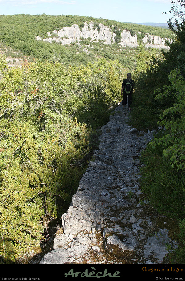 20090718_valleeligne_sentierssboisstmartin