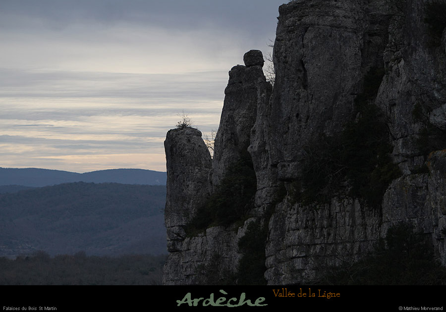 20130127_labeaume_cornichedeligne1