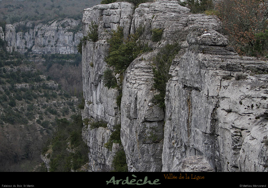 20130127_labeaume_cornichedeligne2