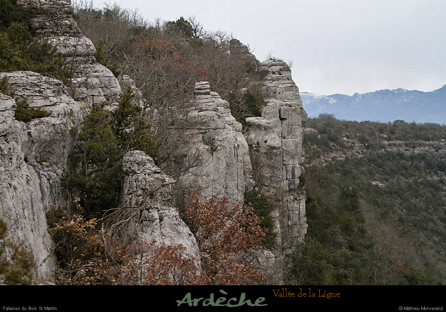 20130127_labeaume_cornichedeligne3