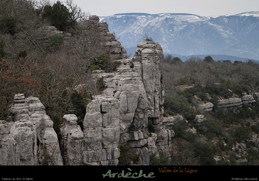 20130127_labeaume_cornichedeligne4