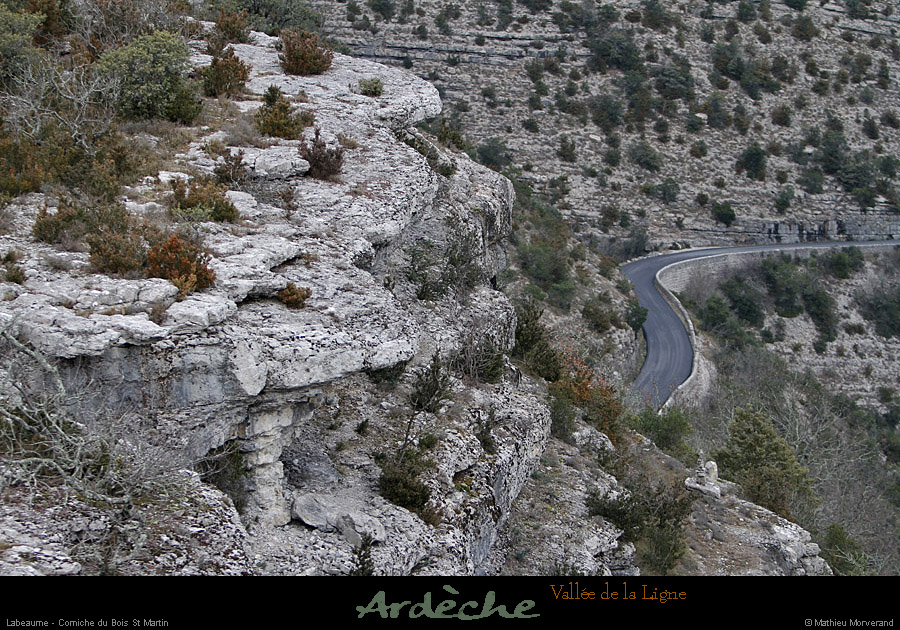 20130127_labeaume_cornichedeligne6