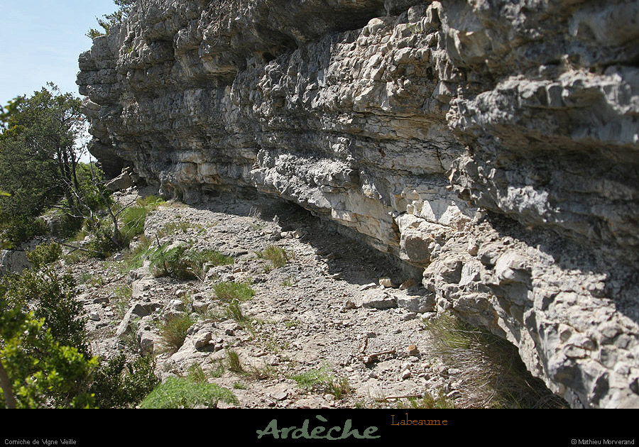 20130416_labeaume_cornichevignevieille