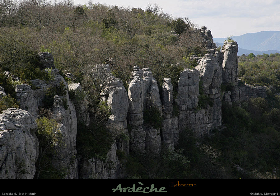 20130416_labeaume_falaisesboisstmartin6