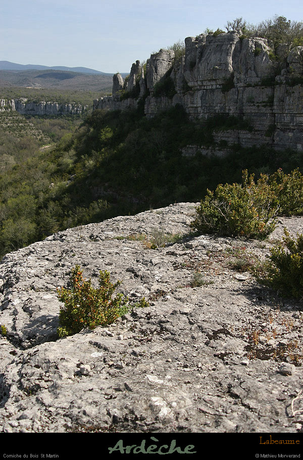 20130416_labeaume_sentiercornicheboisstmartin4