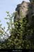 20130416_labeaume_falaisesboisstmartin1