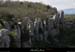 20130416_labeaume_falaisesboisstmartin6