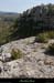 20130416_labeaume_sentiercornicheboisstmartin4