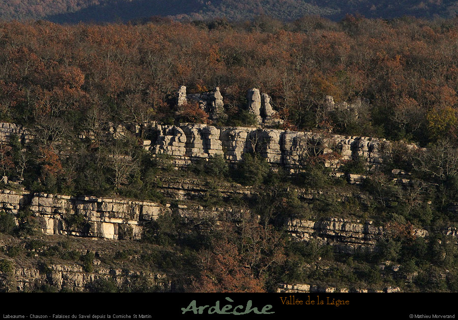 20130113_chauzon_falaisesdusaveldepuisboisstmartin