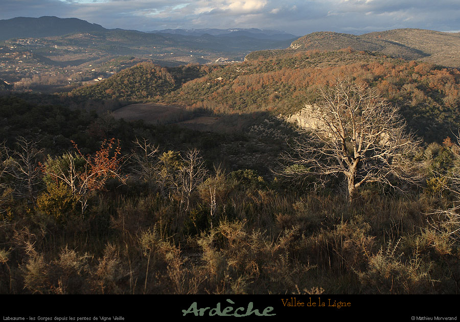 20121216_labeaume_vignevieille_valleeligne1