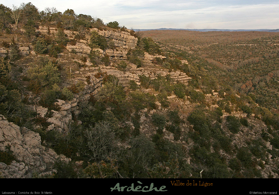 20121231_labeaume_cornicheboisstmartin