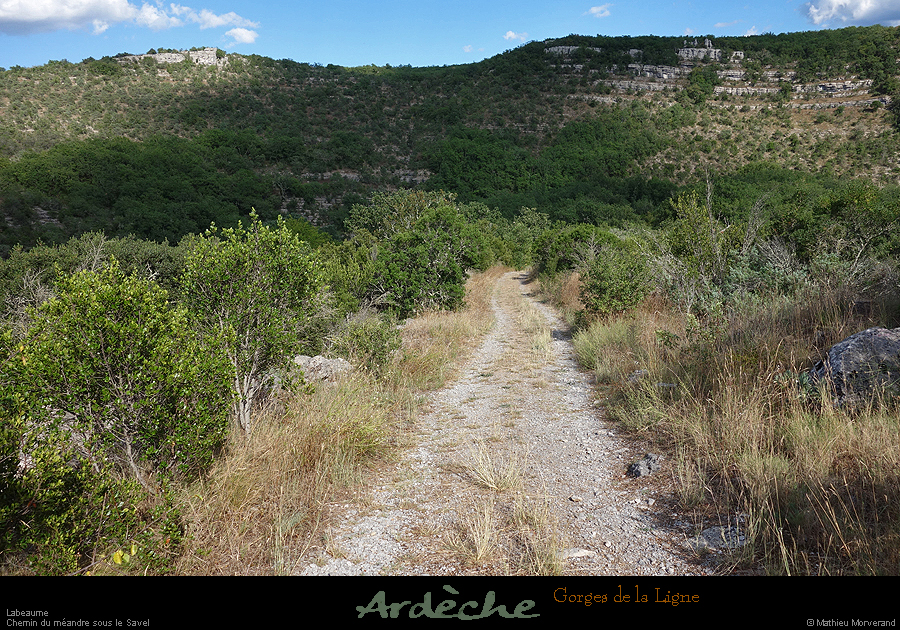 20200814_ligne01