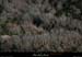 20121231_labeaume_boisdusaveldepuiscornicheboisstmartin