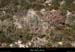 20130302_gorgesligne_chauzon_boisduchastelas2