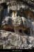 20130302_gorgesligne_labeaume_meandresslesavel_falaise3