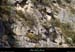 20130302_gorgesligne_labeaume_meandresslesavel_falaise4