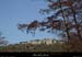 20130302_gorgesligne_labeaume_ssptedusavel_rives12