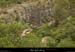 20170801_meandresavel