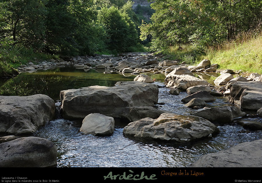 20200814_ligne11