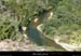 20090718_valleeligne_riv2