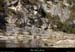 20130302_gorgesligne_labeaume_meandresslesavel08