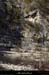 20130302_gorgesligne_labeaume_meandresslesavel14