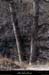 20130302_gorgesligne_labeaume_ssptedusavel_rives01