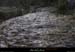 20130302_gorgesligne_labeaume_ssptedusavel_rives06