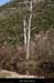 20130302_gorgesligne_labeaume_ssptedusavel_rives09