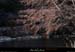 20130302_gorgesligne_labeaume_ssptedusavel_riviere02