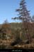 20130302_gorgesligne_labeaume_ssptedusavel_riviere06