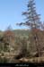 20130302_gorgesligne_labeaume_ssptedusavel_riviere07