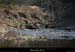 20130302_gorgesligne_labeaume_ssptedusavel_riviere10