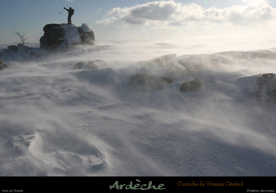 20081218_serreestelle_5