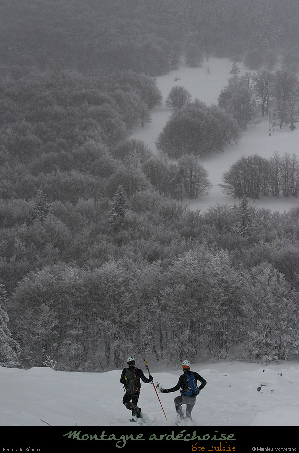 20100130_sepoux02