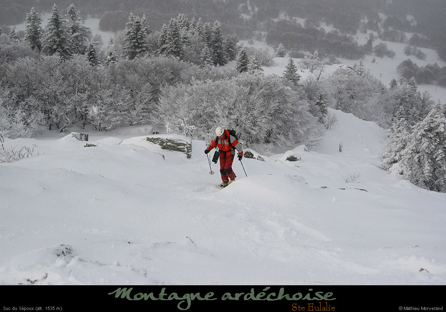20100130_sepoux09