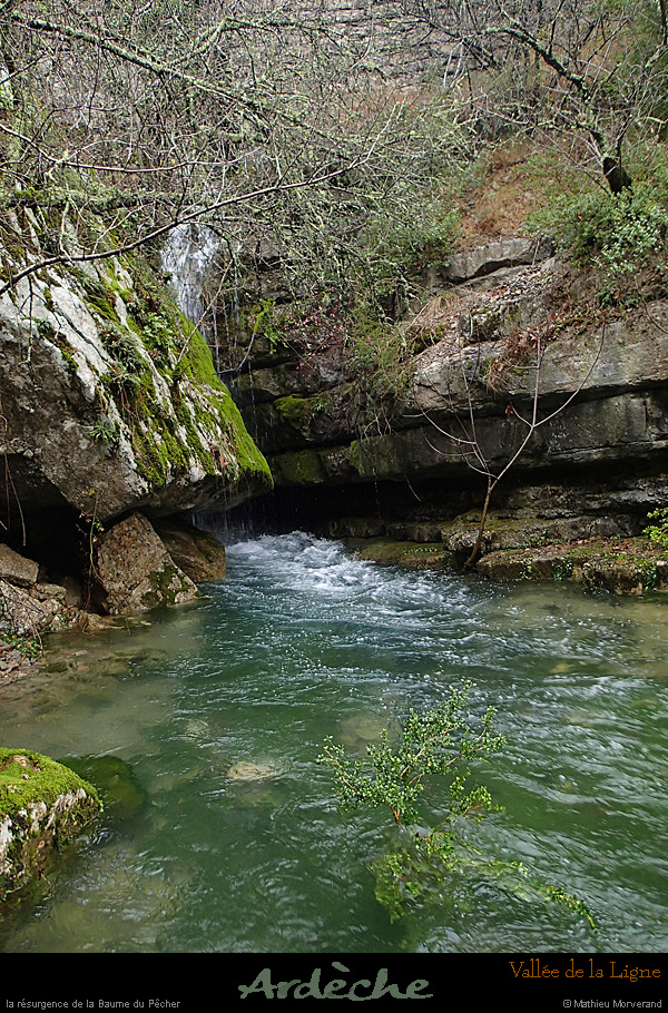 20131225_crueresurgencebaumepecher01