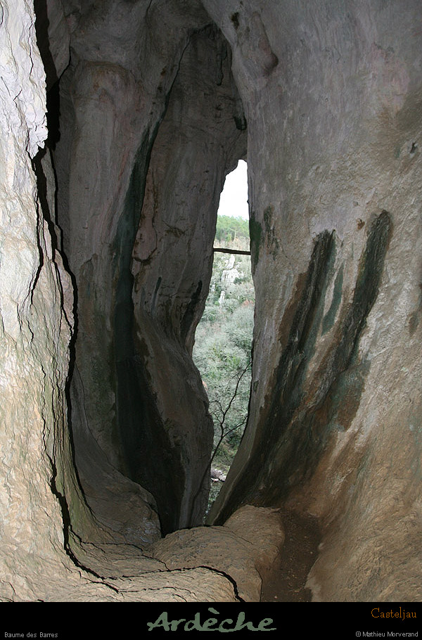 20100101_gorgescasteljau_baumedesbarres3